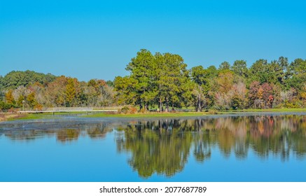 Schönes Spiegelbild der Küstenlinie am Reed Bingham Lake in Adel, Colquitt County, Georgia