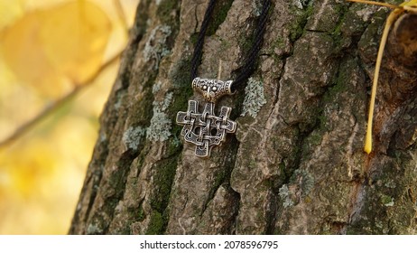 Vikingen zilveren amulet Thor's hamer op een oude boom in het bos. Mystieke achtergrond