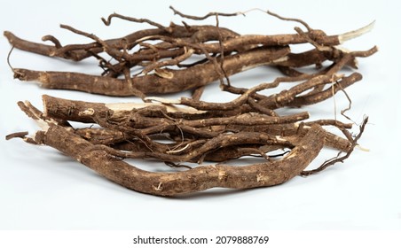 シベリア人参、Eleutherococcus senticosus、伝統的な漢方薬の根。白い背景にチンキ剤や薬を作るための根。