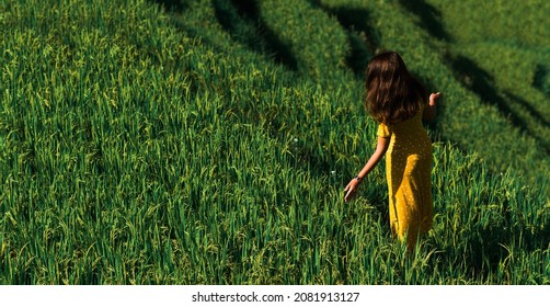 Een mooi meisje loopt op rijstterrassen op het eiland Bali, achteraanzicht. Een mooi meisje in een gele jurk loopt door groene rijstvelden. Een jonge vrouw loopt op rijstterrassen. Ruimte kopiëren