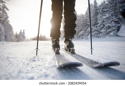 Smučanje. Smučanje na prvih progah. Alpski smučar, ki se zjutraj spušča po svežih progah po urejeni smučarski progi. Bližnji posnetek proge, smuči in smučarskih čevljev med zasneženimi drevesi.