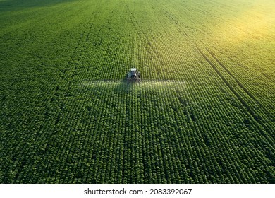 Cuidando el Cultivo. Vista aérea de un Tractor fertilizando un campo agrícola cultivado.