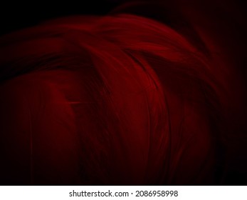 Schöne abstrakte rote Federn auf schwarzem Hintergrund, gelbe Federstruktur auf buntem Muster und rotem Hintergrund, orangefarbene Federtapete, Liebesthema, Hochzeitsvalentinstag, roter Farbverlauf
