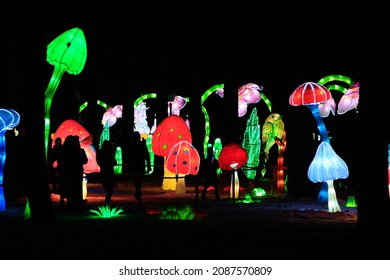 Weihnachtsschmuck in einem Park mit LED-Beleuchtung. Selektiver Fokus. Foto in hoher Qualität