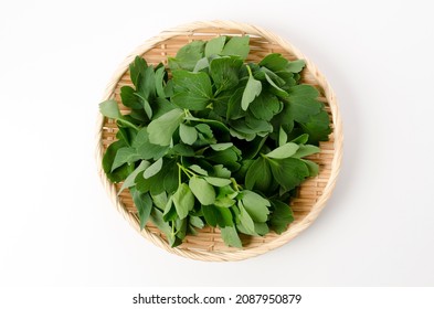 chomeiso (Peucedanum japonicum) on bamboo sieve on white background