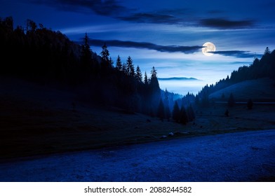 paysage de montagne par une nuit brumeuse. conifères sur la prairie herbeuse dans la vallée à la lumière de la pleine lune