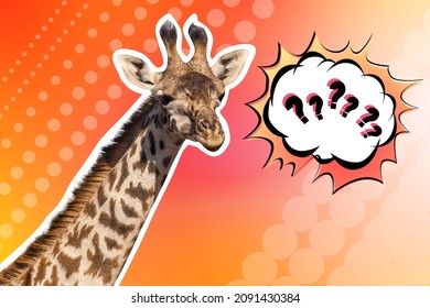 Jirafa y signos de interrogación. Concepto de reflexiones. La jirafa reflexiona sobre las preguntas. Collage con una jirafa. Un animal de cuello largo sobre un fondo brillante. Collage en estilo revista
