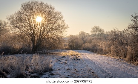 Ein verschneiter Weg durch den Wald an einem ruhigen Wintermorgen in Dänemark