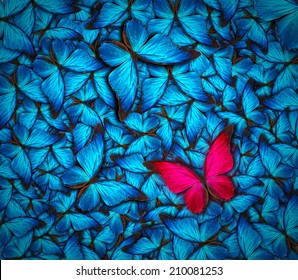 さまざまな蝶がたくさんある美しい背景