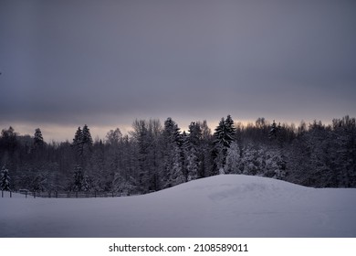 Espectacular paisaje invernal bajo la nieve recién caída en un día nublado por la mañana. foto de alta calidad