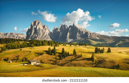 Alpe di Siusi または Seiser Alm、ドロミテ アルプス サッソルンゴとサソピアット山、トレンティーノ アルト アディジェ シュッド チロル、イタリア、ヨーロッパ