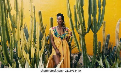 Portrait vun enger schéiner afroamerikanescher Fra mat Kaktussen duerch eng giel Mauer am Hannergrond. ethno Konzept