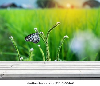 Leeg wit houten tafelblad met vervaagd beeld van het avond subset groene veld en vlinder op de perspectiefachtergrond, kopieer ruimte voor uw tekst klaar voor montage van productpromotie.