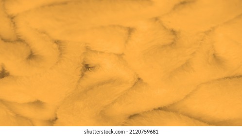 Beludru. Mewah. Kuning pucat. (dari peluche Prancis) - tekstil dengan tumpukan pendek atau tidur siang, sama seperti fustian atau beludru. Latar belakang tekstur bulu binatang putih, tekstur bulu halus mewah close-up.