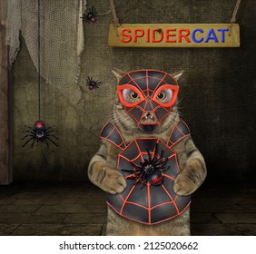 Seekor kucing krem ​​mengenakan kostum laba-laba di gudang. kucing laba-laba. Latar belakang putih. Terpencil.
