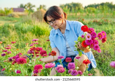 Frau mittleren Alters mit Gartenschere, die einen Blumenstrauß aus Zinnien pflücken