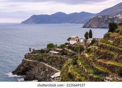 Cinque Terre виноградники