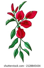 Search: flor de ceibo Logo PNG Vectors Free Download