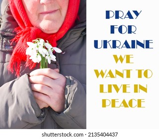 おばあちゃんはスノードロップを持ち、花を持つ老婦人のクローズアップの手と愛国的なテキストはウクライナのために祈ります、私たちは平和に暮らしたいです