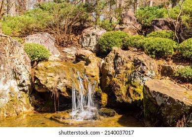Sunny view of the Japanese garden in Garvan Woodland Gardens at Arkansas