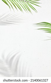 Fondo blanco con hoja de palma y sombra de hoja de palma. Composición abstracta mínima: muro de hormigón y sombra dura de la palma y la hoja de monstera. Cartel elegante de elementos naturales y sombra.