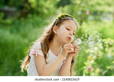タンポポの花のセレクティブ フォーカスを吹く少女。種を飛ばしたいタンポポ。緑の野原に日没で田舎で遊んでいる子供。屋外で楽しんで幸せな子供。夏の夢。アレルギーの季節。