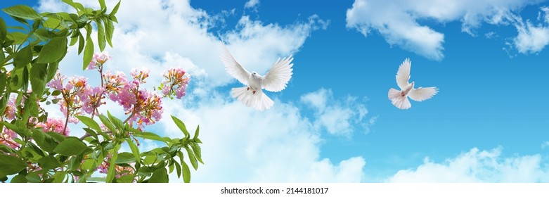 Cây xanh lá, hoa xuân hồng và chim bồ câu bay trên bầu trời. toàn cảnh bầu trời trong xanh với những đám mây trắng tuyệt đẹp. hình ảnh trang trí trần nhà