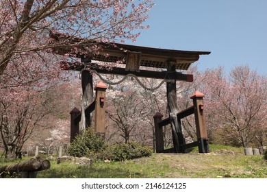広島県庄原市にある神社の鳥居。鳥居には「空彦神社」と書かれています。毎年春になると、見事な桜が咲き誇り、人々を感動させます。