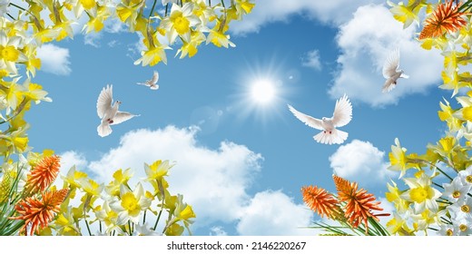 bunga musim semi kuning dan oranye dan merpati terbang di latar belakang langit. model langit langit-langit peregangan. bunga musim semi dan pemandangan langit