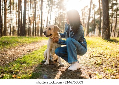 A beautiful girl with her labrador in the spring forest. Young attarective woman in a denim suit with a dog at sunset. Labrador Retriever