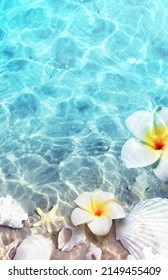 Seesterne, Muscheln und Blumen am Sommerstrand im Meerwasser. Sommerhintergrund. Sommerzeit.