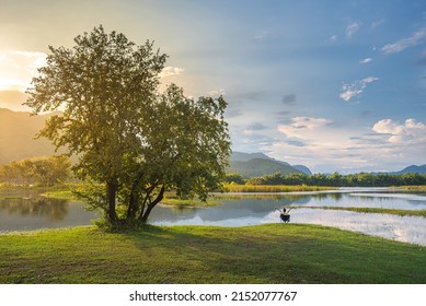 Frau, die die Landschaft genießt, die auf einer Bank am See sitzt und auf den Sonnenaufgang wartet, allein mit der Natur und Entspannung. Reise- und Campingkonzept. Campingzelt im Wald nahe See mit Wiese und blauem Himmel.