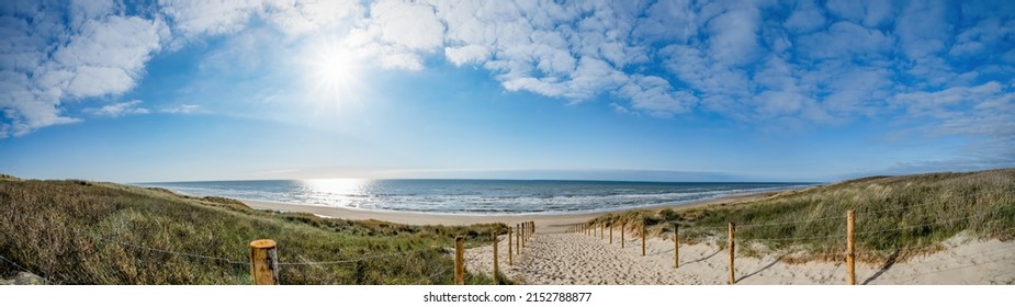 A path with many tracks, delimited by wooden posts on the sand dune with wild grass and beach in Noordwijk on the North Sea in Holland Netherlands - Panorama sea landscape with blue sky and clouds