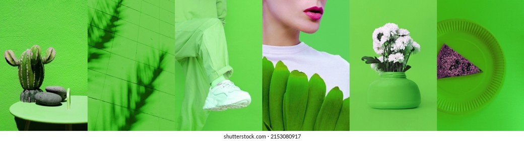 Set von trendigen ästhetischen Fotocollagen. Minimalistische Bilder einer Top-Farbe. Bio Green Öko-Moodboard