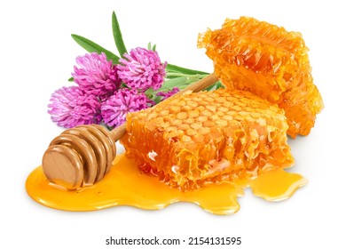 Waben und Honigpfütze mit Klee- oder Kleeblattblume isoliert auf weißem Hintergrund mit Beschneidungspfad und voller Schärfentiefe