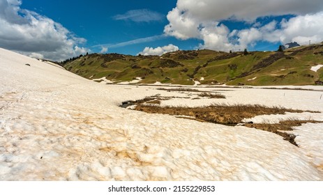 Campos de nieve con arena del Sahara en Auenfeld (traducido: campo de pradera) cerca de Lech, Vorarlberg, Austria. Primavera y nieve derretida, con azafranes y montañas salvajes en el bosque de Bregenz.