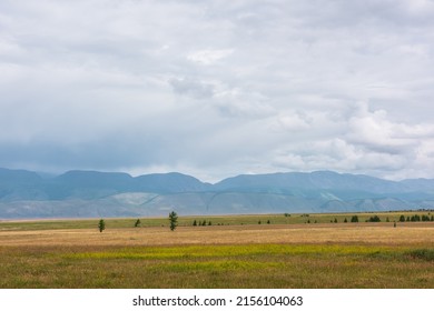 Vedere alpină dramatică spre stepa luminată de soare și munți mari sumbri în nori joase în timpul ploii. Peisaj de munte sumbru cu lanț de munți sumbru în ploaie și stepă în lumina soarelui pe vreme schimbătoare.