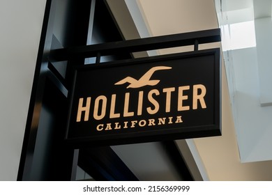 hollister store logo