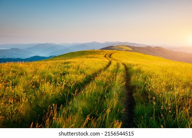 Cảnh đồng quê nhấp nhô tuyệt đẹp trong ánh sáng buổi sáng. Địa điểm dãy núi Carpathian, Ukraine, Châu Âu. Hình nền ảnh. Hình ảnh cảnh mùa hè kỳ lạ. Kỳ nghỉ hè. Khám phá vẻ đẹp của trái đất.