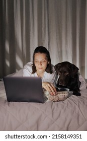 a woman in a striped sweatshirt and hat eats popcorn and watches a movie on TV or a TV series at home from a laptop. a European woman and her dog are lying on a bed and watching a comedy