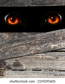 Vertical Halloween background with old wood boards and red eye of the monster looks through the hole. Monster behind a broken wooden wall. Mock up template. Copy space for text