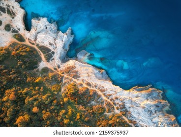 青い海、澄んだ水の岩、ビーチ、夏の夕暮れ時の緑の木々の空撮。アドリア海、Kamenjak、クロアチア。岩が多い海岸、紺碧の水の中の石、森のあるカラフルな風景。上面図