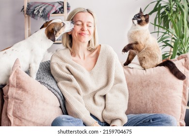 Une femme a fermé les yeux avec plaisir en passant du temps avec des animaux de compagnie Une femme heureuse se repose sur le canapé avec un chien et un chat