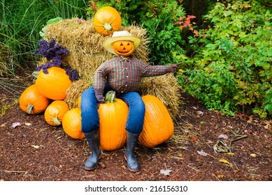 Pumpkin scarecrow HD wallpaper download