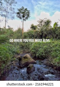 Go where you Feel Most Alive 4K wallpaper download