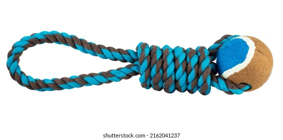 狗玩具绳与球隔离在白色背景上