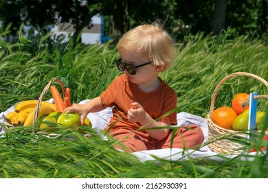 緑の野原にいる陽気な金髪の少年は、フルーツ バスケット、ビタミン、離乳食、健康的なライフ スタイル、幸せな子供時代、庭と収穫、日光浴、ピクニック、サングラスの横にあるピクニック マットに座っています。