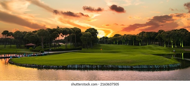 Panoramic view of beautiful golf course with pines at sunset. Golf field with fairway, lake and pine-trees