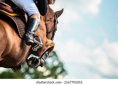 Paardenspringen, paardensport, foto met springthema.