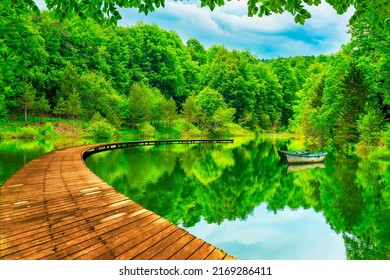 Paisaje de verano en el bosque con hermoso lago. vista del lago en el bosque. paisaje de lago verde en la naturaleza de europa. tema de fondo del paisaje de la naturaleza. Viajes de naturaleza en los bosques de Europa.